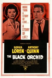 The Black Orchid poster