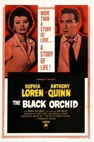 The Black Orchid