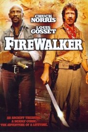 Firewalker poster