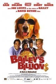 Bailey's Billion$ poster