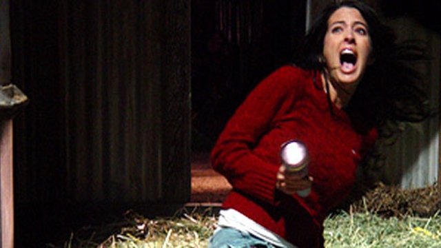 Watch The Pumpkin Karver Online