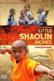 Little Shaolin Monks poster