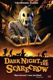 The Dark Night of the Scarecrow poster