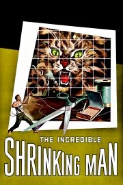 The Incredible Shrinking Man poster