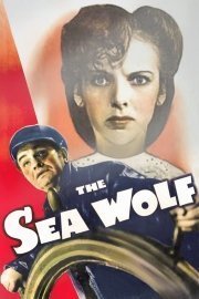 The Sea Wolf poster
