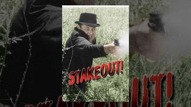 Watch Stakeout! Online