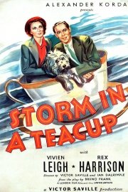 Storm in a Teacup poster