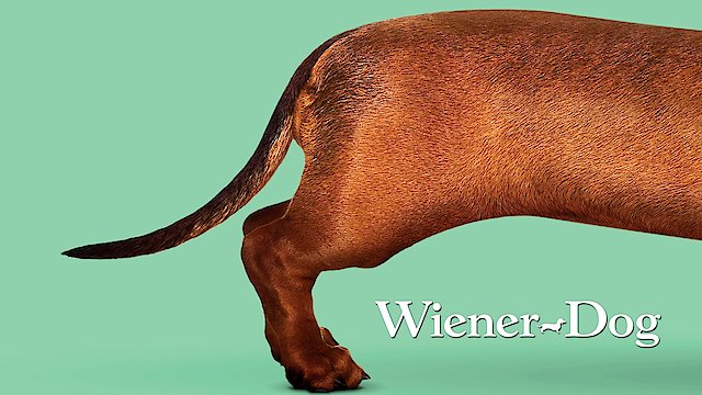 Watch Wiener-Dog Online