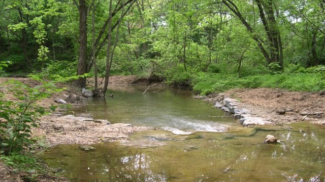 Watch Spring Creek Online