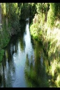 Spring Creek
