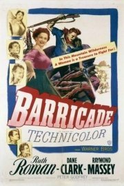 Barricade poster