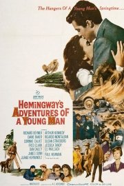 Adventures of a Young Man poster