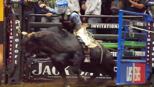 Watch Bullrider Online