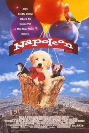 Napoleon poster