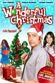A Wonderful Christmas poster