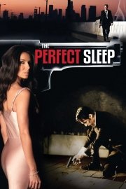 The Perfect Sleep