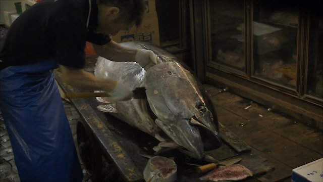 Watch Ants On A Shrimp Online