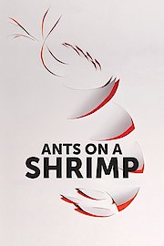 Ants On A Shrimp