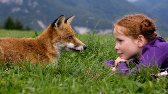 Watch The Fox and the Child Online