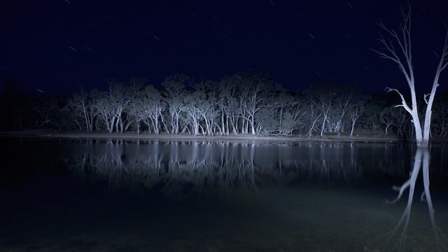 Watch Lake Mungo Online