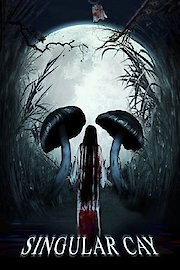 Singular Cay poster