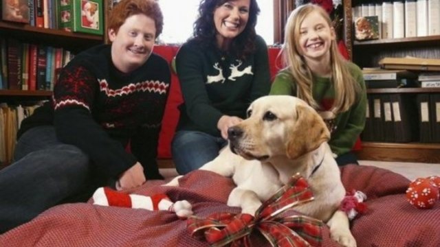 Watch The Dog Who Saved Christmas Online