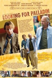 Looking for Palladin poster