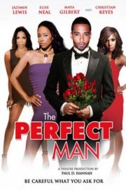The Perfect Man poster