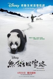 Trail of the Panda poster