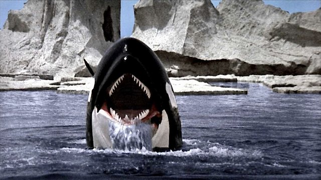 Watch Orca: The Killer Whale Online