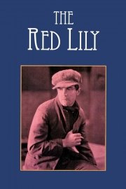 The Red Lily poster