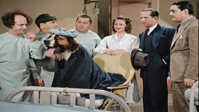 Watch The Three Stooges: Shorts - In Color Online