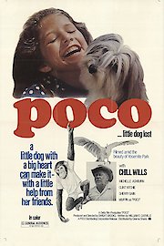 Poco... Little Dog Lost poster