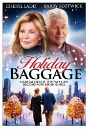 Holiday Baggage poster