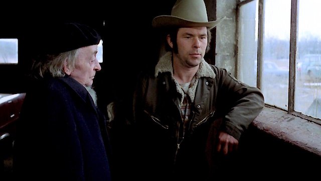 Watch Stroszek Online