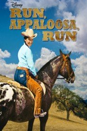 Run, Appaloosa, Run poster