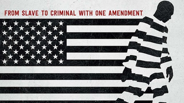 Watch 13th Online