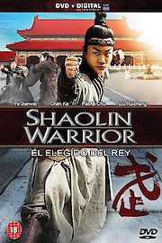 Shaolin Warrior poster