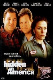 Hidden In America poster