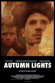 Autumn Lights