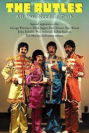 All You Need Is Cash poster