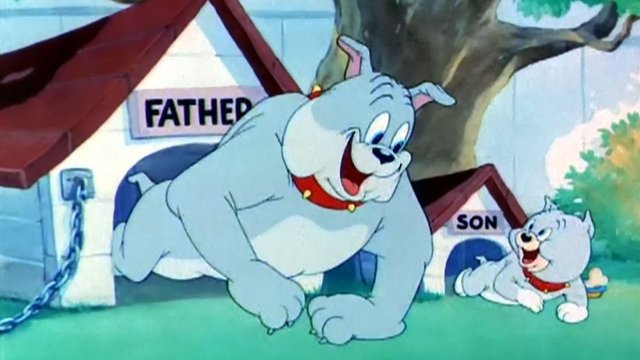 Watch Tom & Jerry: Pint Sized Pals: Love that Pup Online