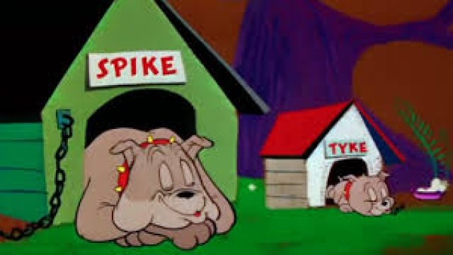 Watch Tom & Jerry: Pint Sized Pals: The Dog House Online