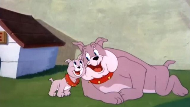 Watch Tom & Jerry: Pint Sized Pals: That's My Pup Online