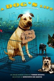 A Dog's Life poster