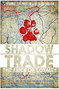 Shadow Trade