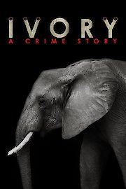 Ivory: A Crime Story