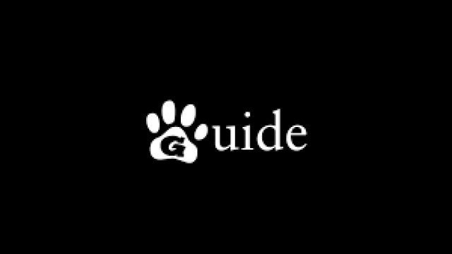 Watch Guide Online