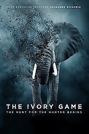 The Ivory Game poster
