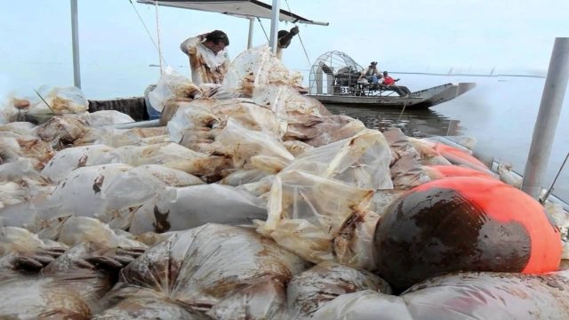 Watch Beyond Pollution Online